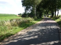Stukkenstraat von Bree