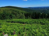 Suc au May from Chaumeil
