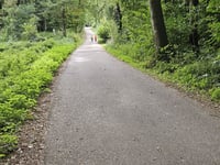 Heiligenberg / Süchtelner Höhen