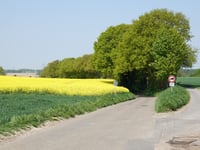 Süggerather Strasse über Auf der Zömm