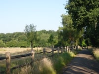 Suikerberg via Rijselberg