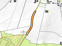 Sunderberg von Börger