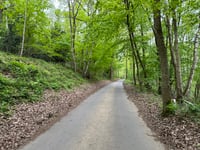 Sur Steppes