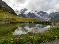 Sustenpass