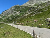Col de Susten depuis Wassen