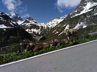 Sustenpass da Wassen