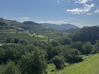 Sveta Gora from Nova Gorica