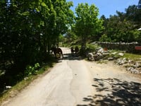 Sveti Jure from Podgora