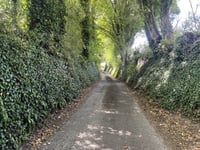 Swainswick Lane da Batheaston