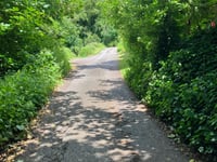 Swift's Hill via Knapp Lane