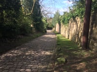 Swiss Hill von Alderley Edge