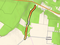Szczury