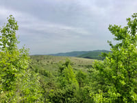 Szelcepuszta da Szin