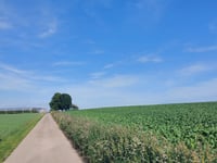 'T Eikske von Neerhespen
