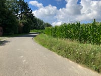 't Rode Paard