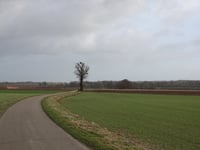 't Rooth über Hafeweg