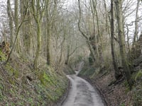't Rooth über Hafeweg