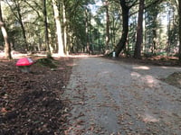 Tafelberg von De Steeg
