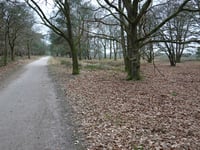 Tafelberg von Huizen