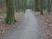 Tafelberg von Huizen