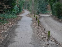 Tafelberg da Laren