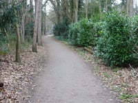 Tafelberg da Laren