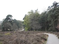 Tafelberg von Velp über Den Bruijl