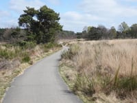 Tafelberg von Velp über Den Bruijl