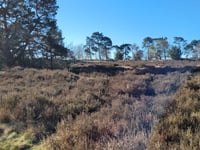 Tafelberg von Velp über Den Bruijl