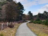 Tafelberg von Velp über Den Bruijl
