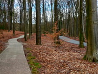 Tafelberg von Velp über Den Bruijl