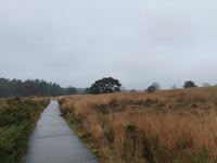 Tafelberg von Velp über Den Bruijl