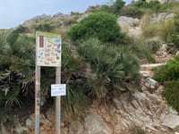 Talaia d'Albercutx from Coll de la Creueta