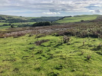 Tan Hill von Whaw