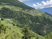 Tanas