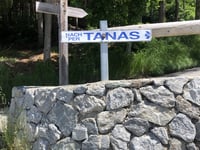 Tanas