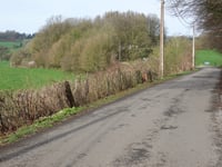 Tancrémont via Arbre Sous Pré