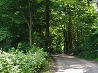 Tankenberg über Alleeweg