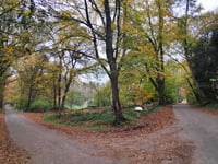 Tankenberg über Alleeweg