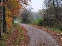 Tankenberg über Alleeweg