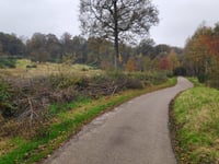 Tankenberg über Alleeweg