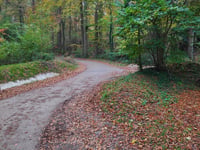 Tankenberg über Alleeweg