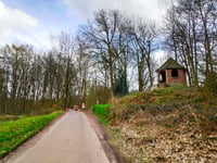 Tankenberg über Alleeweg