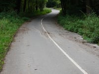 Tatarenkopf von Monschauer Strasse