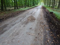 Tatarenkopf von Monschauer Strasse