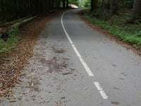Tatarenkopf von Monschauer Strasse