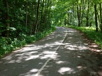Tatarenkopf über Eupener Strasse