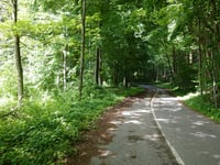 Tatarenkopf über Eupener Strasse