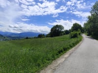 Tatary z Biały Dunajec