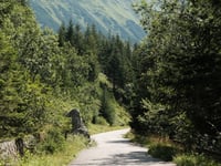 Ťatliakova from Zuberec